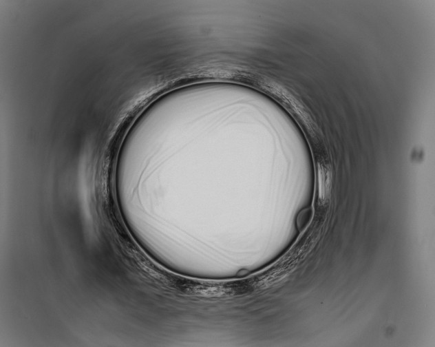 X0000099940675200806201121