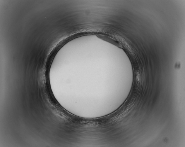 X0000099940676200806201121