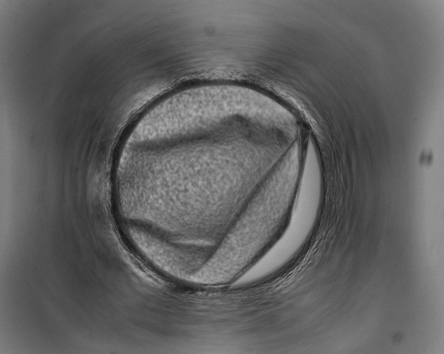 X0000099940677200806201121