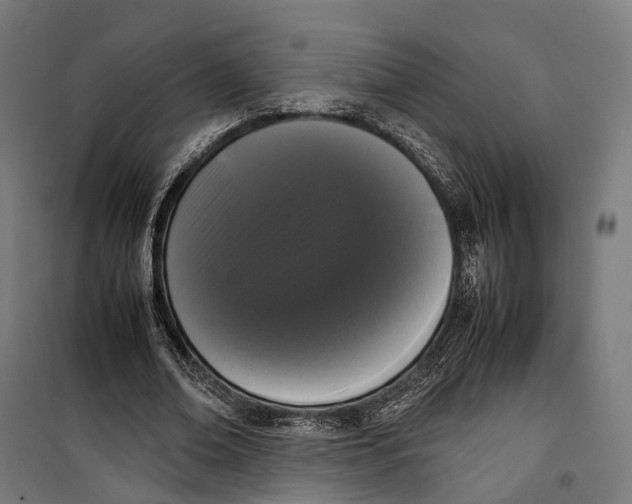 X0000099940678200806201121