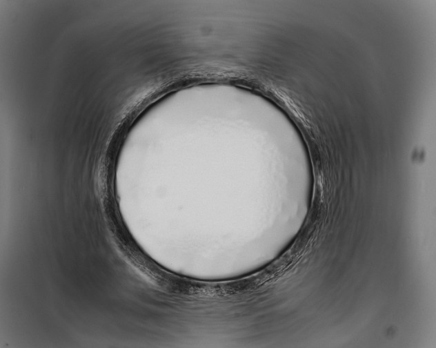 X0000099940679200806201121
