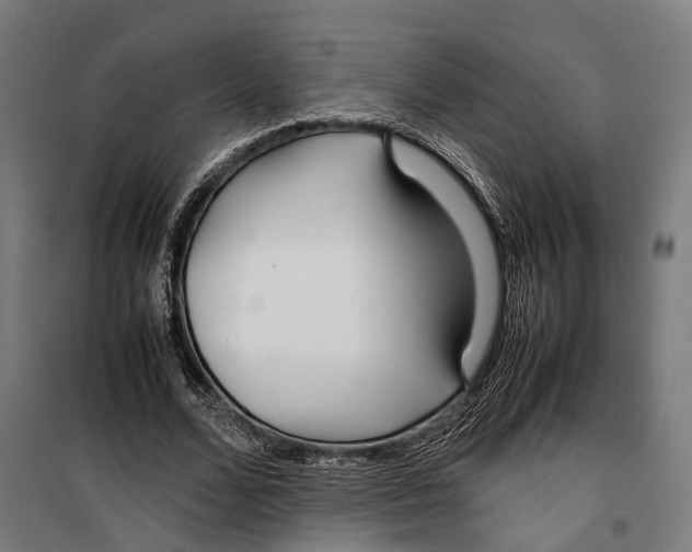 X0000099940680200806201121