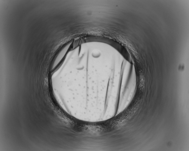 X0000099940681200806201121