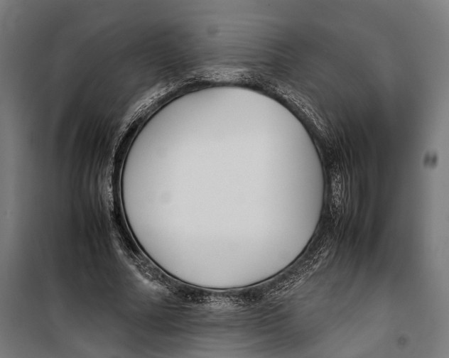 X0000099940682200806201121