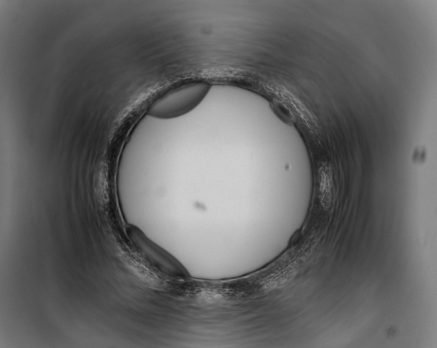 X0000099940684200806201121