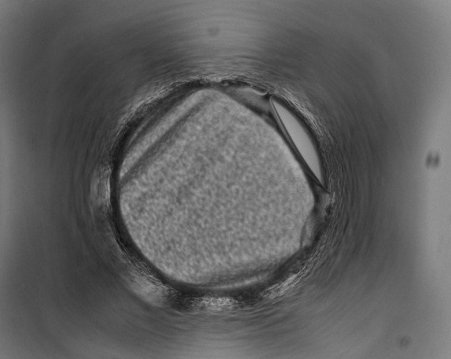 X0000099940685200806201121