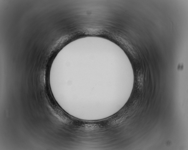 X0000099940686200806201121