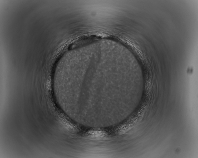 X0000099940689200806201121