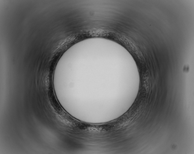 X0000099940690200806201121