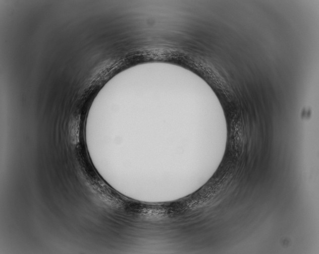 X0000099940694200806201121