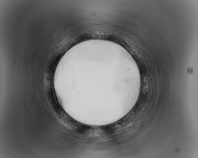 X0000099940695200806201121
