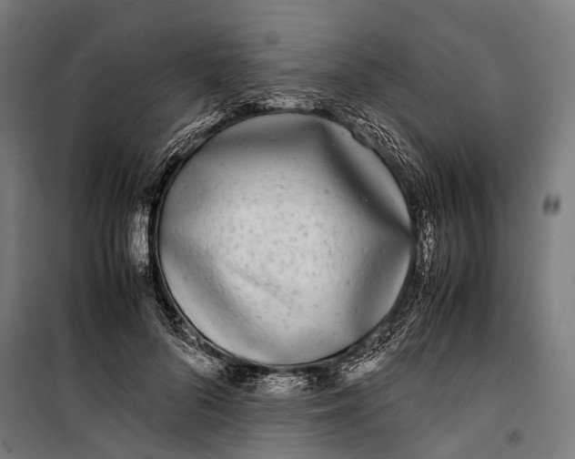 X0000099940696200806201121