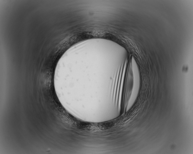 X0000099940697200806201121
