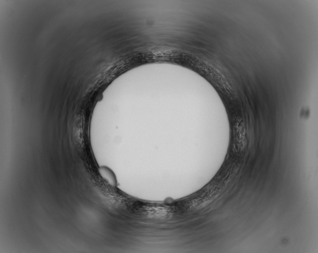 X0000099940698200806201121