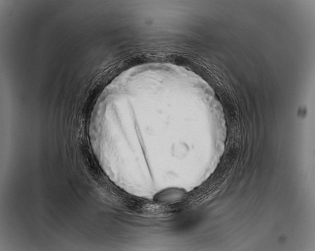 X0000099940699200806201121
