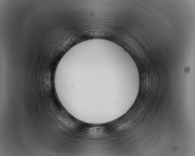 X0000099940700200806201121