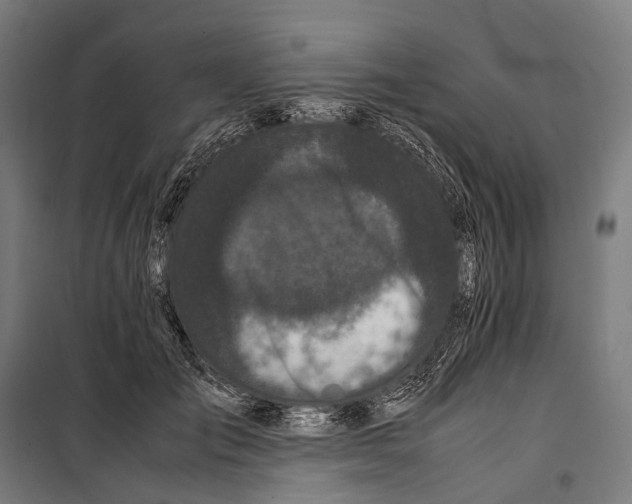 X0000099940701200806201121