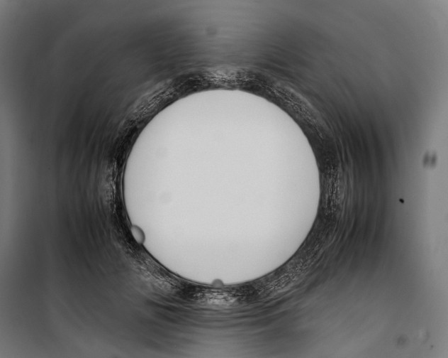 X0000099940702200806201121