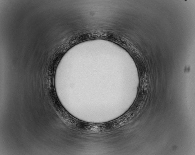X0000099940703200806201121
