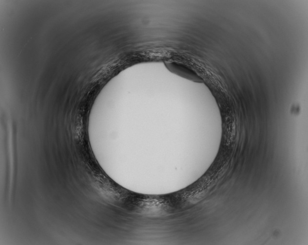 X0000099940704200806201121