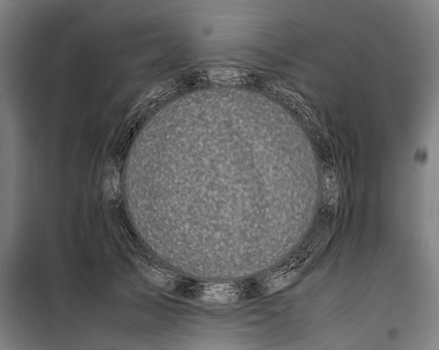 X0000099940705200806201120
