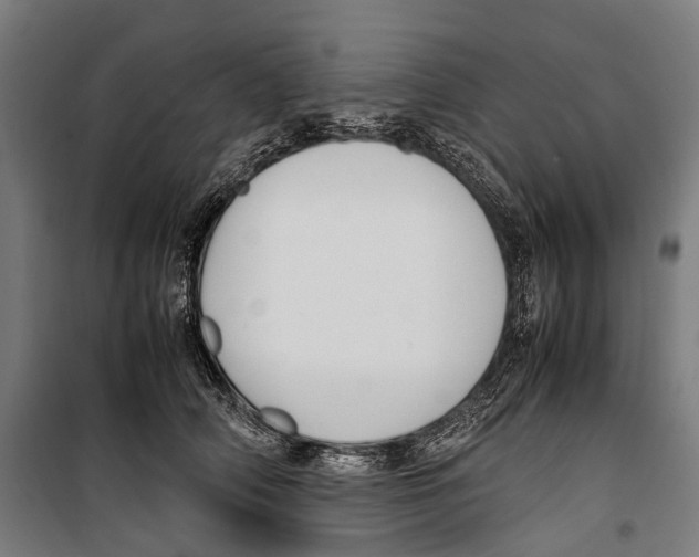 X0000099940706200806201120