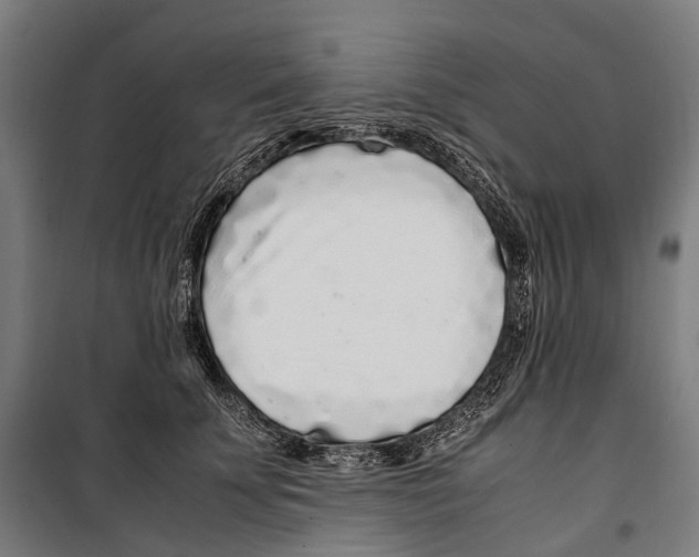 X0000099940707200806201120