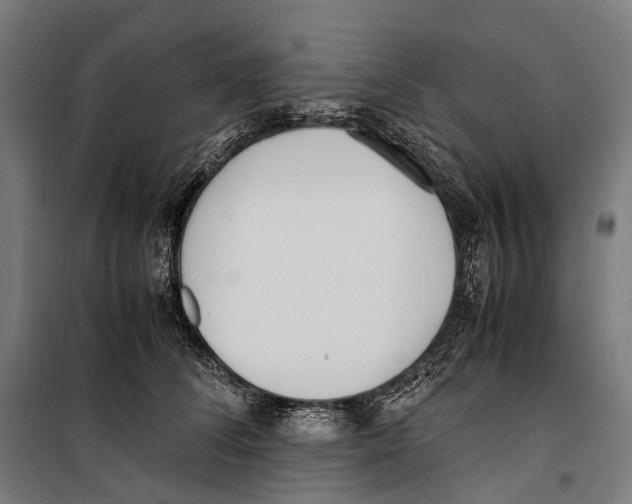 X0000099940708200806201120