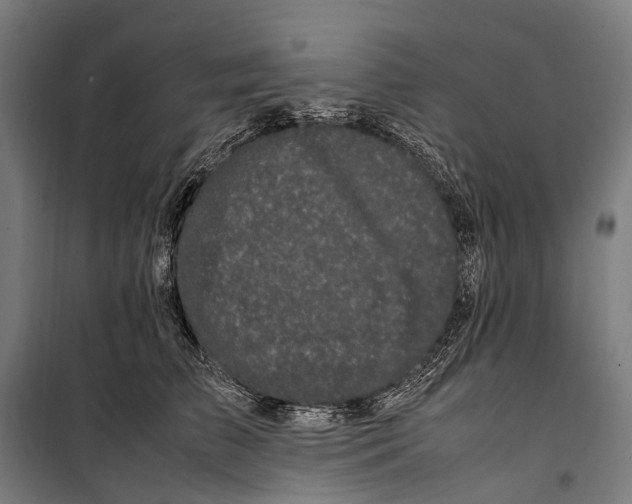 X0000099940709200806201120