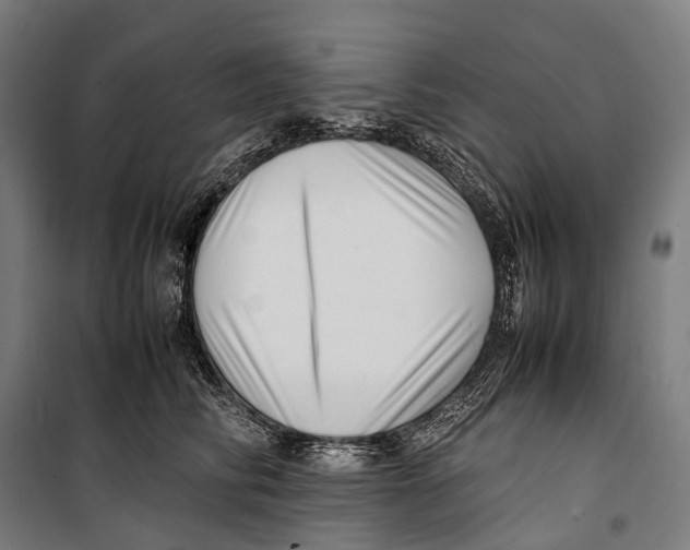 X0000099940710200806201120