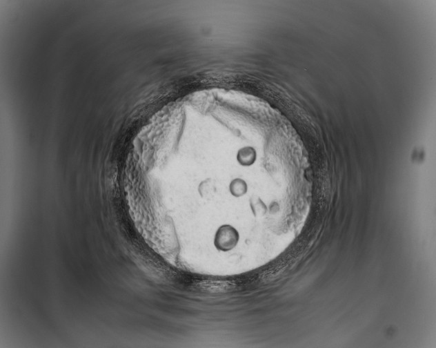 X0000099940711200806201120