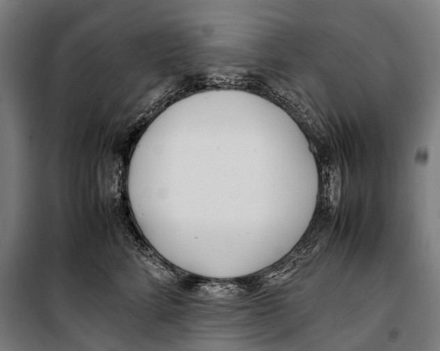 X0000099940712200806201120