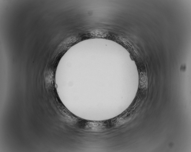 X0000099940713200806201120