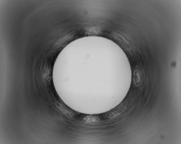X0000099940714200806201120