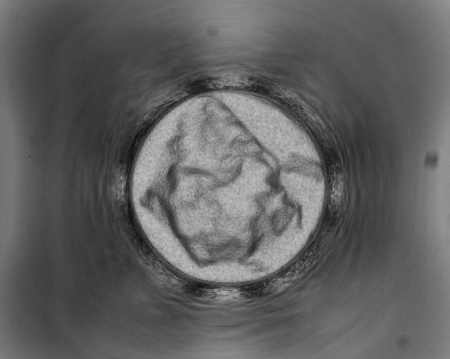 X0000099940715200806201120