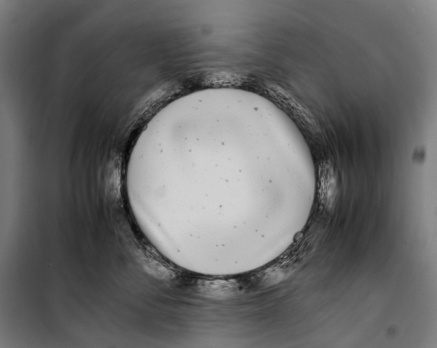 X0000099940716200806201120