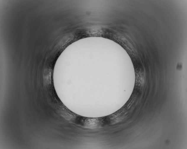 X0000099940717200806201120