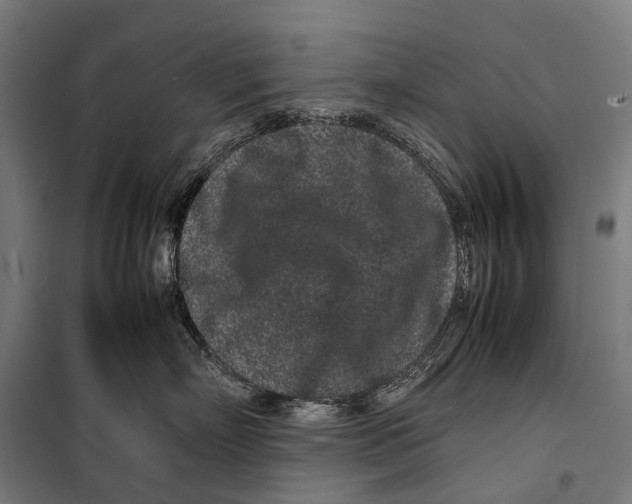 X0000099940718200806201120