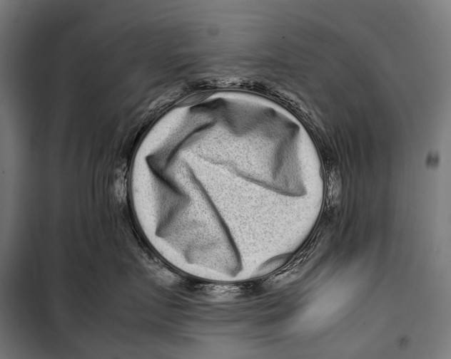 X0000099940719200806201120
