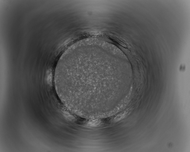 X0000099940720200806201120