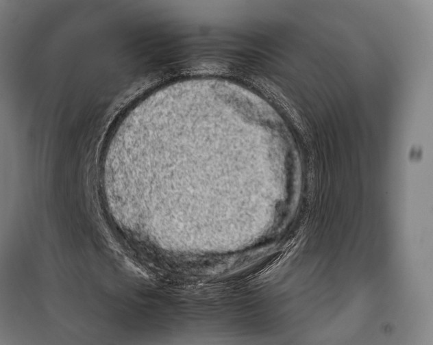 X0000099940721200806201120