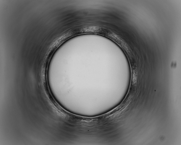 X0000099940725200806201120
