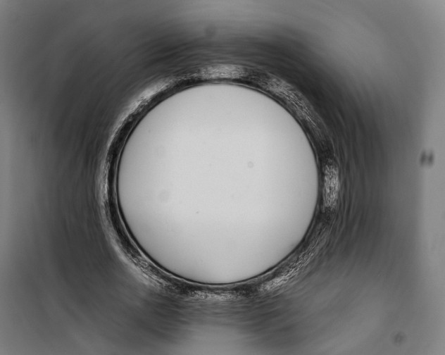 X0000099940726200806201120