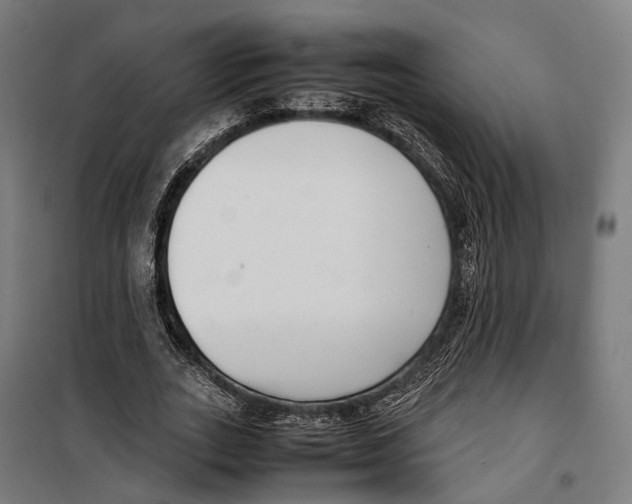 X0000099940727200806201120