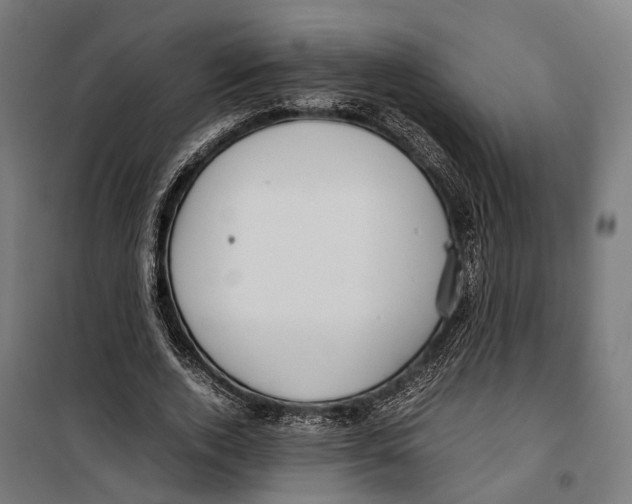 X0000099940728200806201120