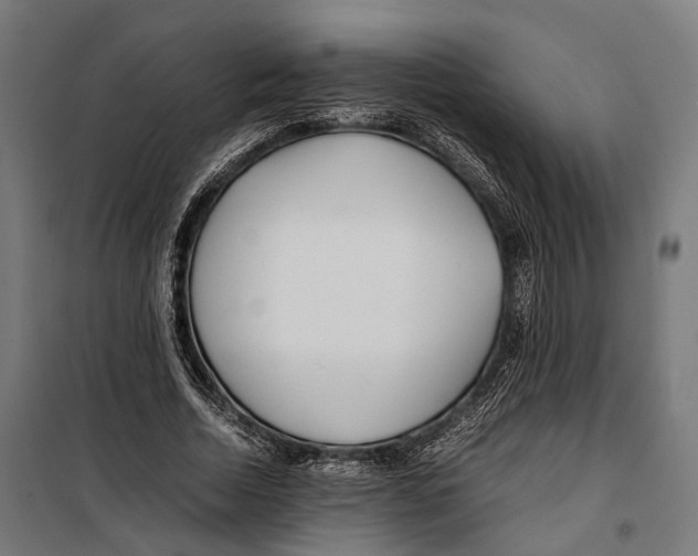 X0000099940730200806201120