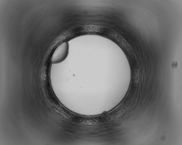 X0000099940731200806201120