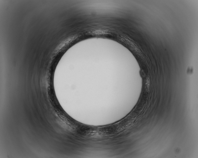 X0000099940732200806201120
