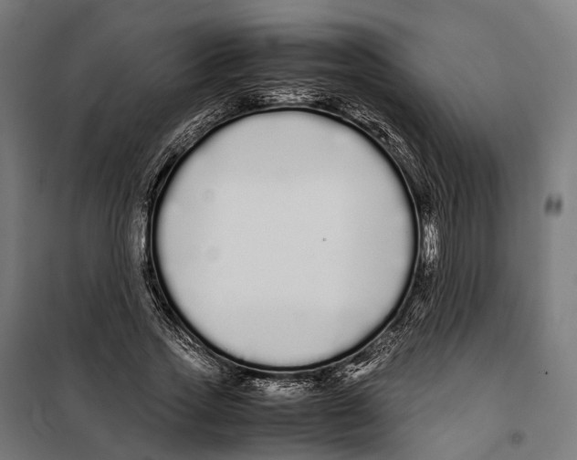 X0000099940733200806201120