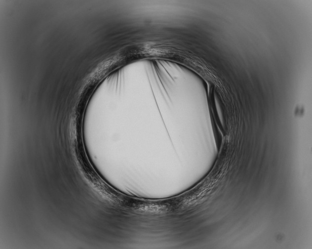 X0000099940734200806201120